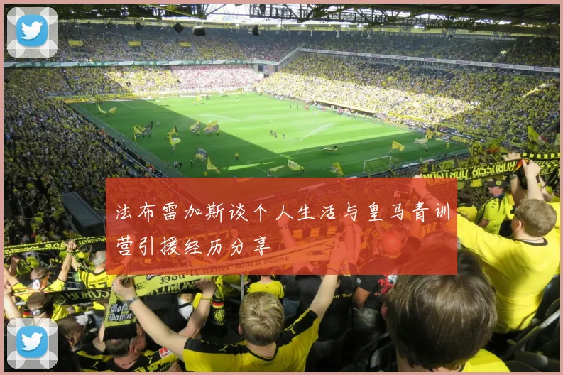 法布雷加斯谈个人生活与皇马青训营引援经历分享