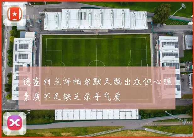 德塞利点评帕尔默天赋出众但心理素质不足缺乏杀手气质